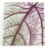 Close-up photo of leaves in black and white on a large stretched canvas, ideal for kitchen wall art.