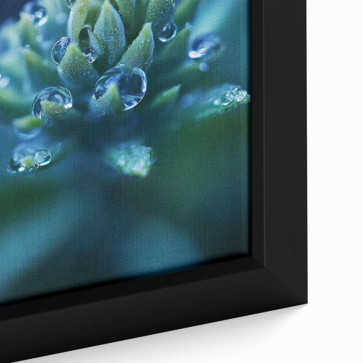Extra large framed canvas featuring a close-up of water droplets on a black background with colorful, textured details.