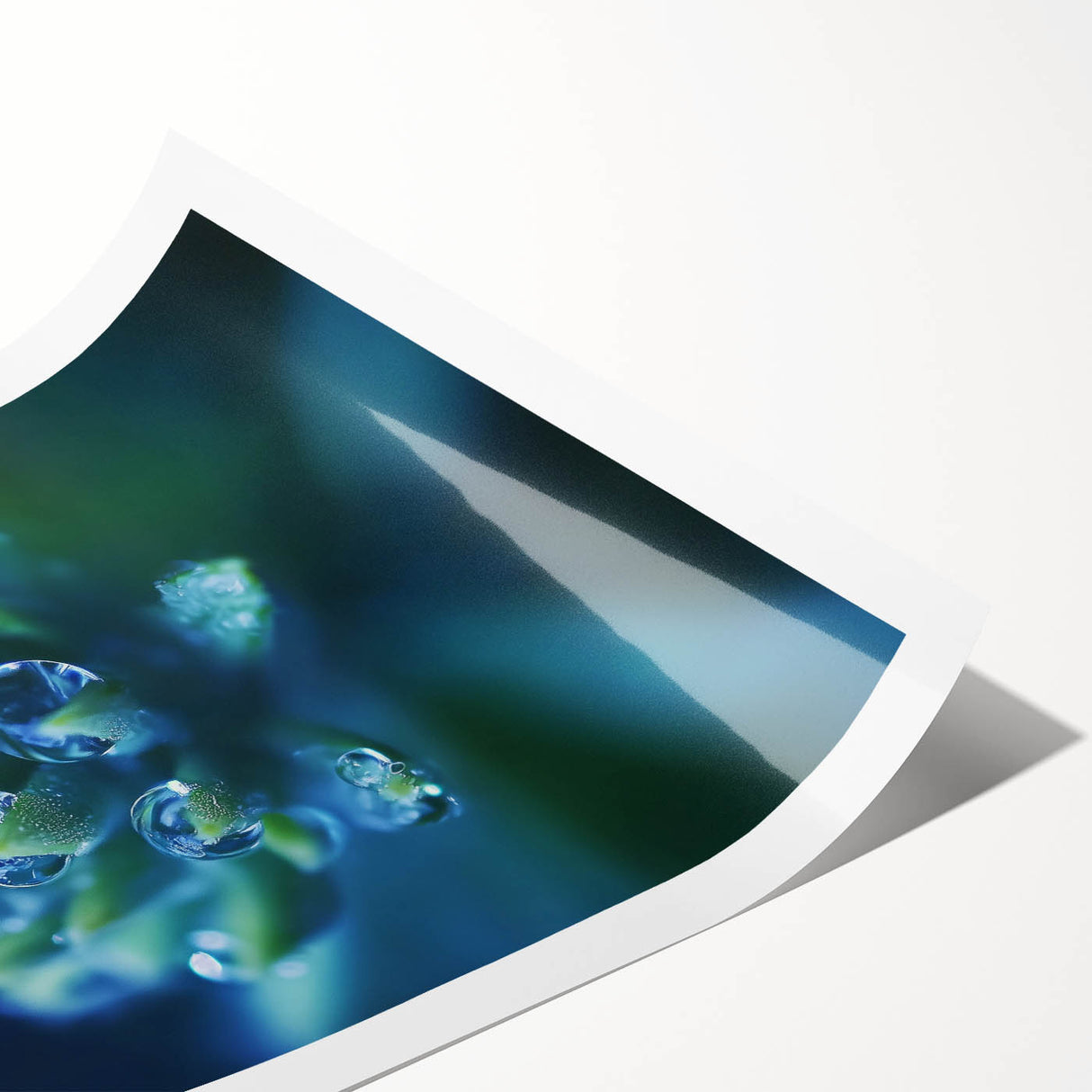 Extra large wall art featuring a close-up of line art flowers in black and white on rolled print.