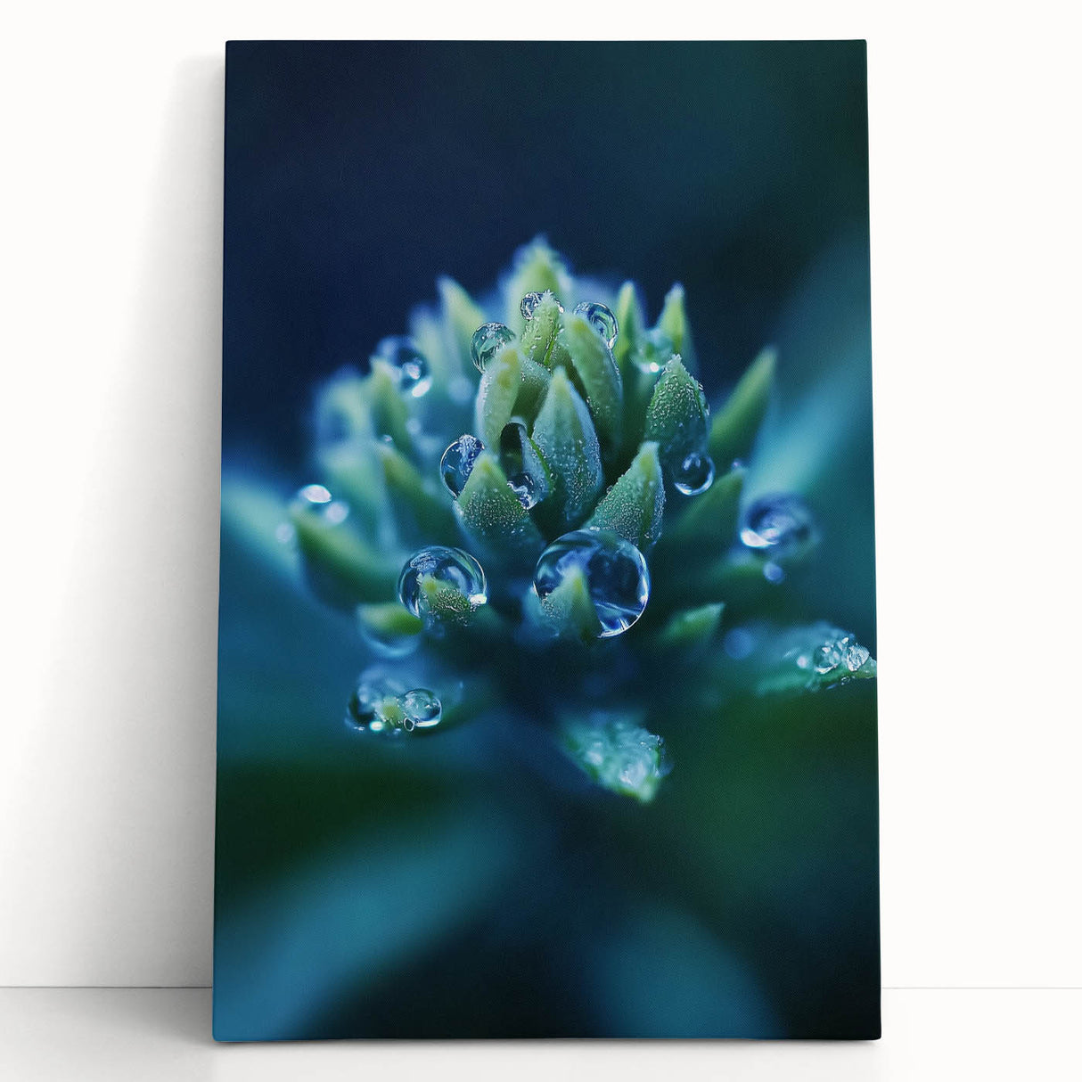 Close-up black and white photo of water droplets on canvas, ideal for kitchen wall art or bedroom.