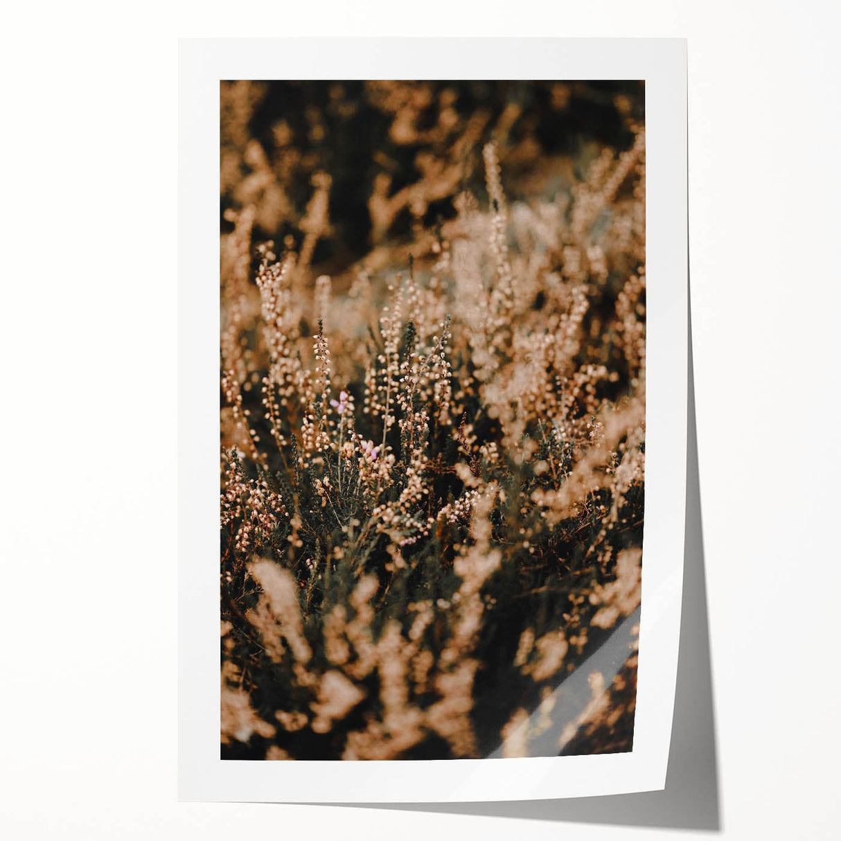 Extra large rolled print depicting fall foliage in vibrant orange and red hues.