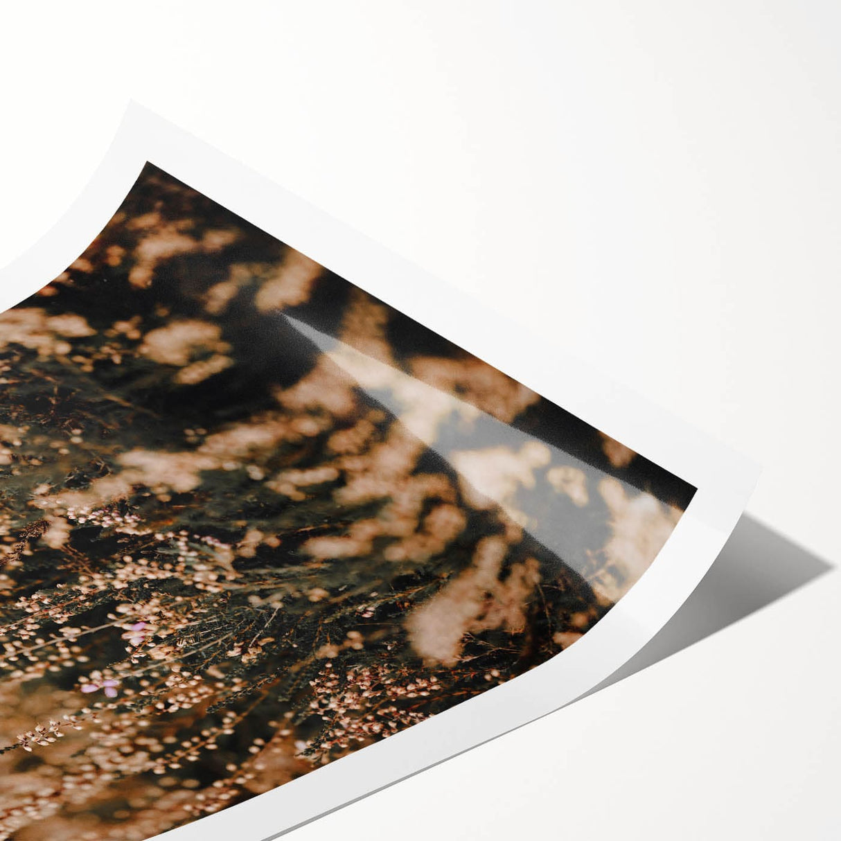 Extra large wall art featuring line art flowers in autumn hues on a rolled print, ideal for large living room decor.