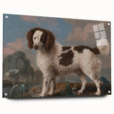 Brown and White Spaniel - Romanticism Dog Portrait by George Stubbs