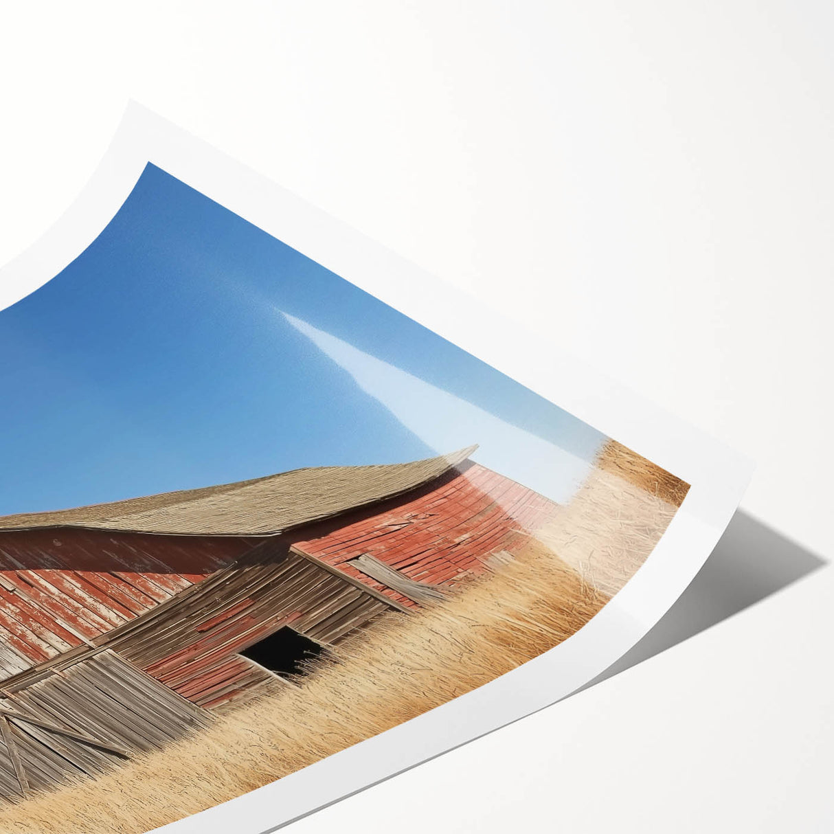 Rolled print showcasing a vibrant landscape design with rustic barn elements, featuring rich colors and textures, securely packaged in a protective tube for delivery.