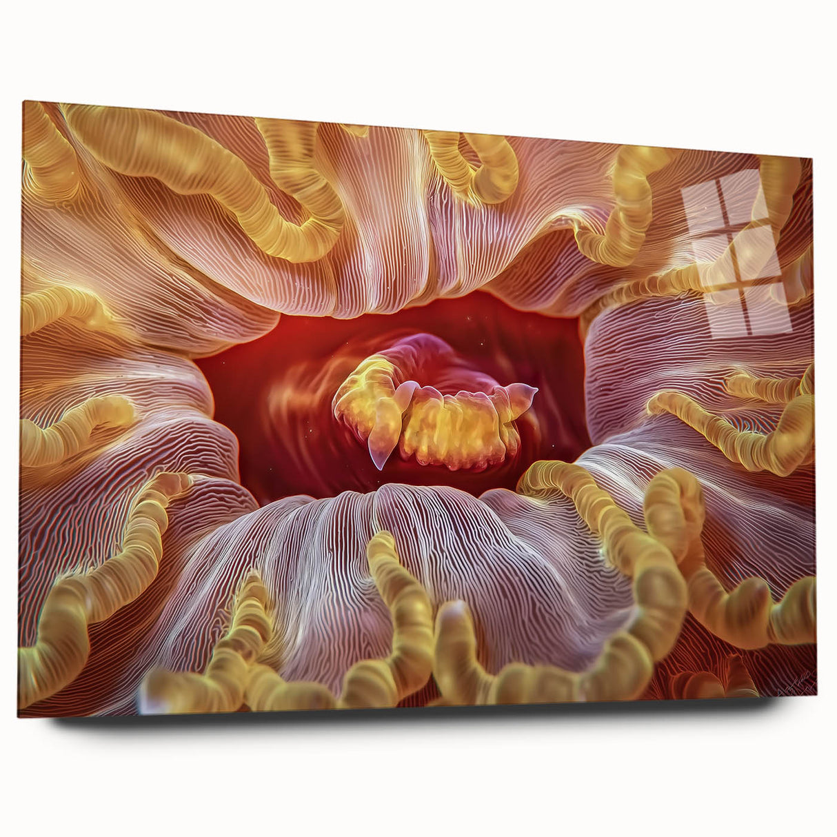 Large abstract floral art on acrylic glass in soft pink and white, ideal for bedroom or dining room decor.