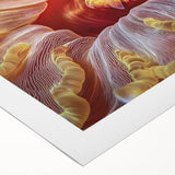 Art deco poster featuring close-up floral designs in soft pastel colors on rolled canvas, suitable for dining room walls.