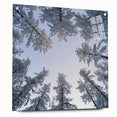 Acrylic print of a close-up nature scene with ice crystals, in cool blue and white tones.