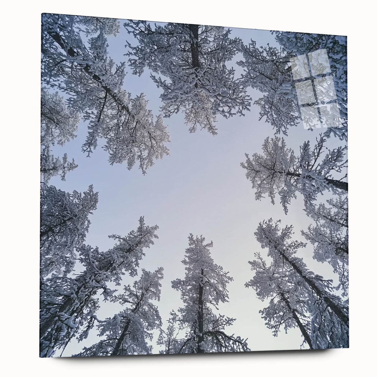 Large abstract wall art featuring close-ups of ice crystals on acrylic glass, in cool blue and white tones.