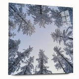 Large abstract wall art featuring close-ups of ice crystals on acrylic glass, in cool blue and white tones.