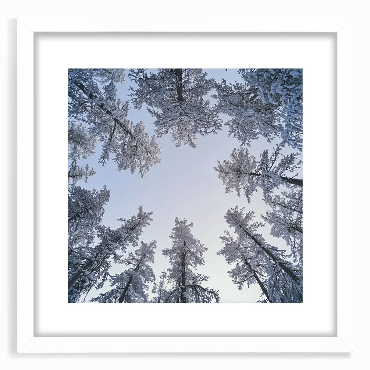 Abstract art print featuring close-ups of ice crystals in muted gray and white tones, framed with a white mat.
