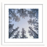 Abstract art print featuring close-ups of ice crystals in muted gray and white tones, framed with a white mat.