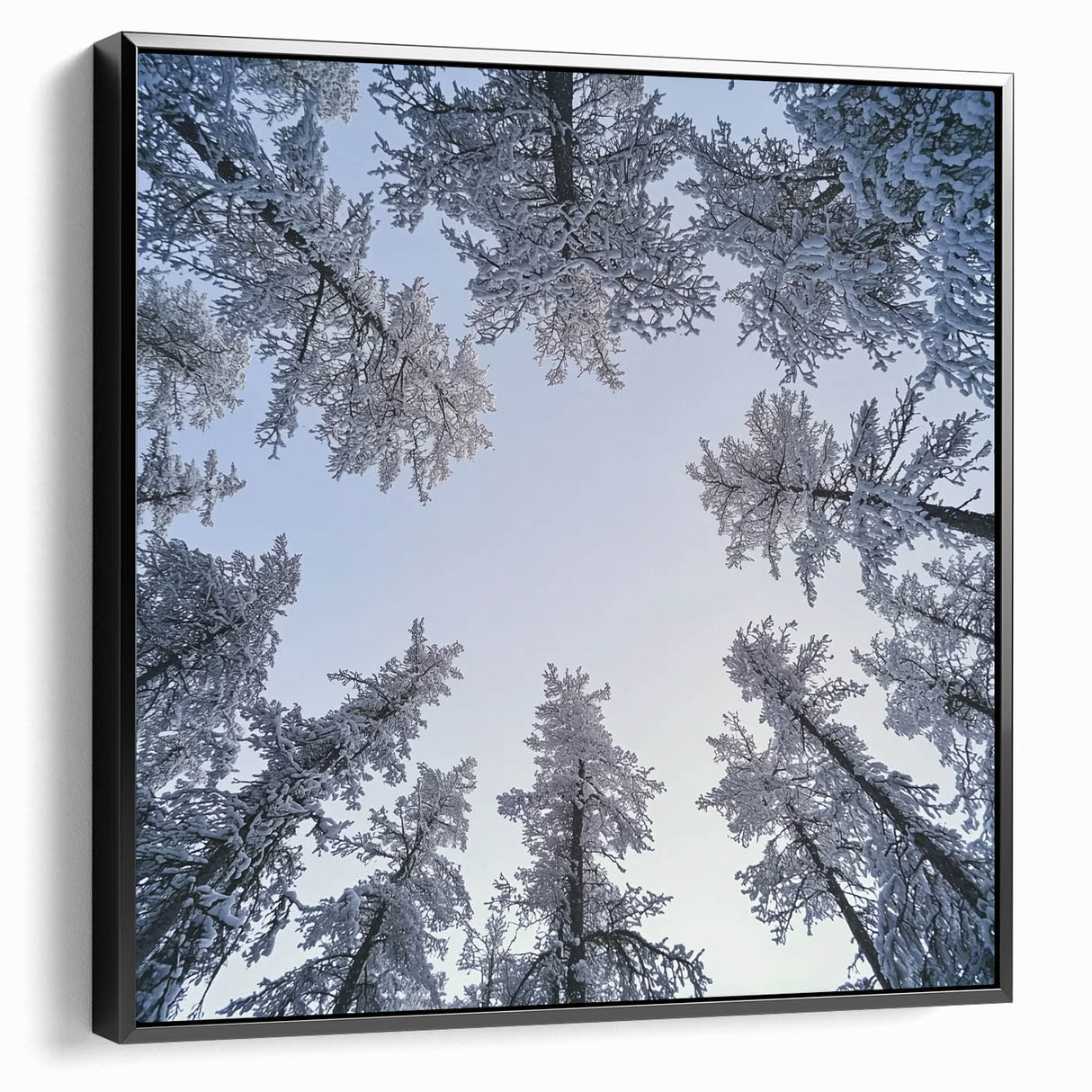 Black and white framed canvas featuring close-up landscape of icicles and frost, ideal for bedroom wall decor.