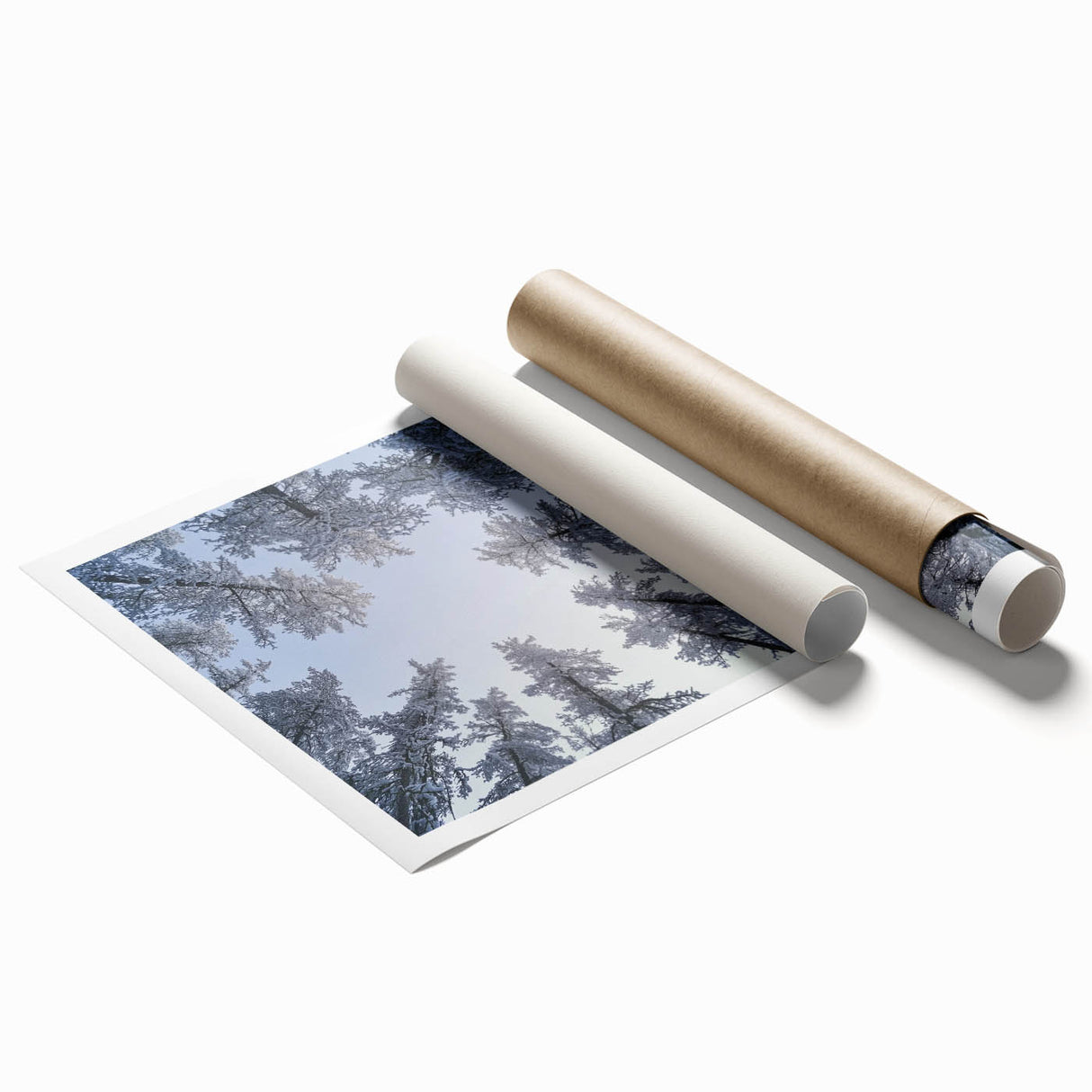 Close-up floral art in icy blue and white tones on a rolled print, suitable for classy bathroom wall decor.