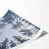 Extra large wall art featuring line art flowers with frost details on a rolled print, ideal for large living room decor.