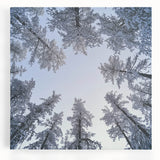 Black and white close-up photo of icicles on stretched canvas, suitable for kitchen wall art.