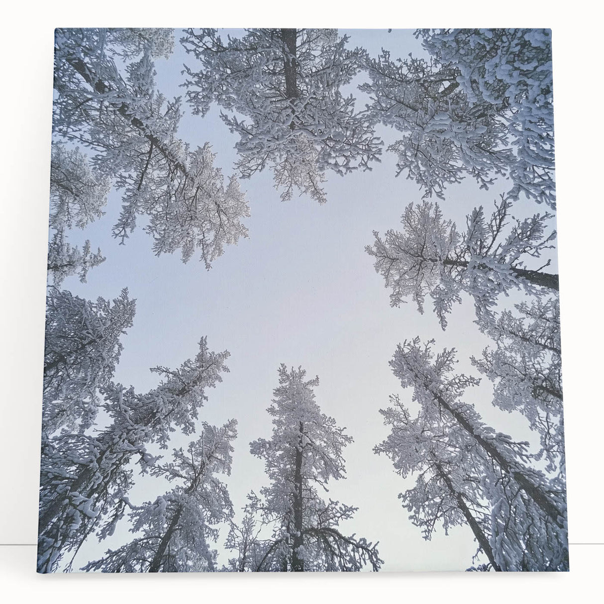 Black and white close-up photo of frost on plants, printed on a large stretched canvas.