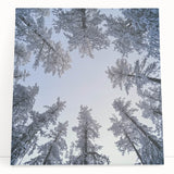Black and white close-up photo of frost on plants, printed on a large stretched canvas.