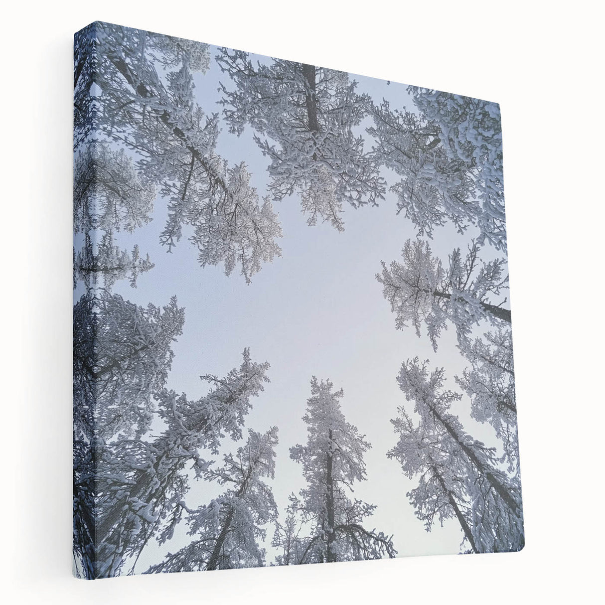 Close-up image of icicles and frost on a stretched canvas, featuring muted blue and white tones, ideal for kitchen wall art.