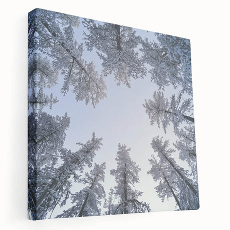 Close-up image of icicles and frost on a stretched canvas, featuring muted blue and white tones, ideal for kitchen wall art.