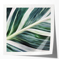Extra large glossy photo print of close-up green leaves, ideal for art wall dining room or classy bathroom decor.
