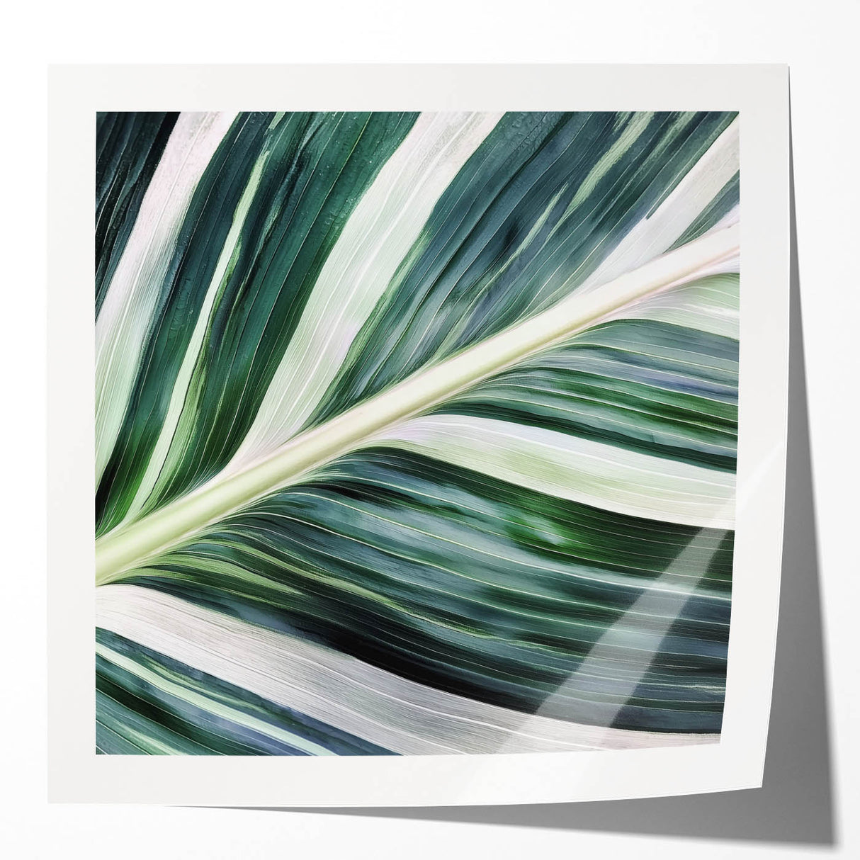 Extra large glossy photo print of close-up green leaves, ideal for art wall dining room or classy bathroom decor.