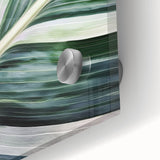 Close-up of leaves in vibrant green shades on acrylic glass.