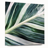 Close-up of green leaves on large acrylic glass, ideal for bedroom or dining room art.