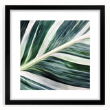 Extra large abstract art print featuring vibrant colorful leaves, textured surface, in a black frame.