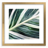 Extra large wall art featuring a close-up of textured leaves in abstract style, framed in gold, ideal for living room decor.