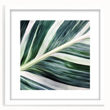 Abstract art print of close-up green leaves, framed in white, ideal for bedroom or dining room decor.