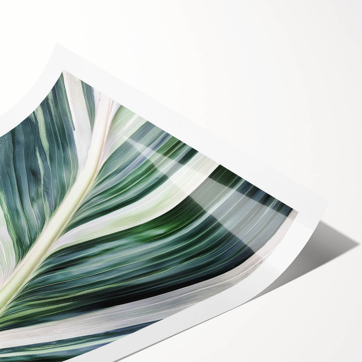 Extra large rolled print featuring line art of leaves in a floral design, ideal for large living room wall art.