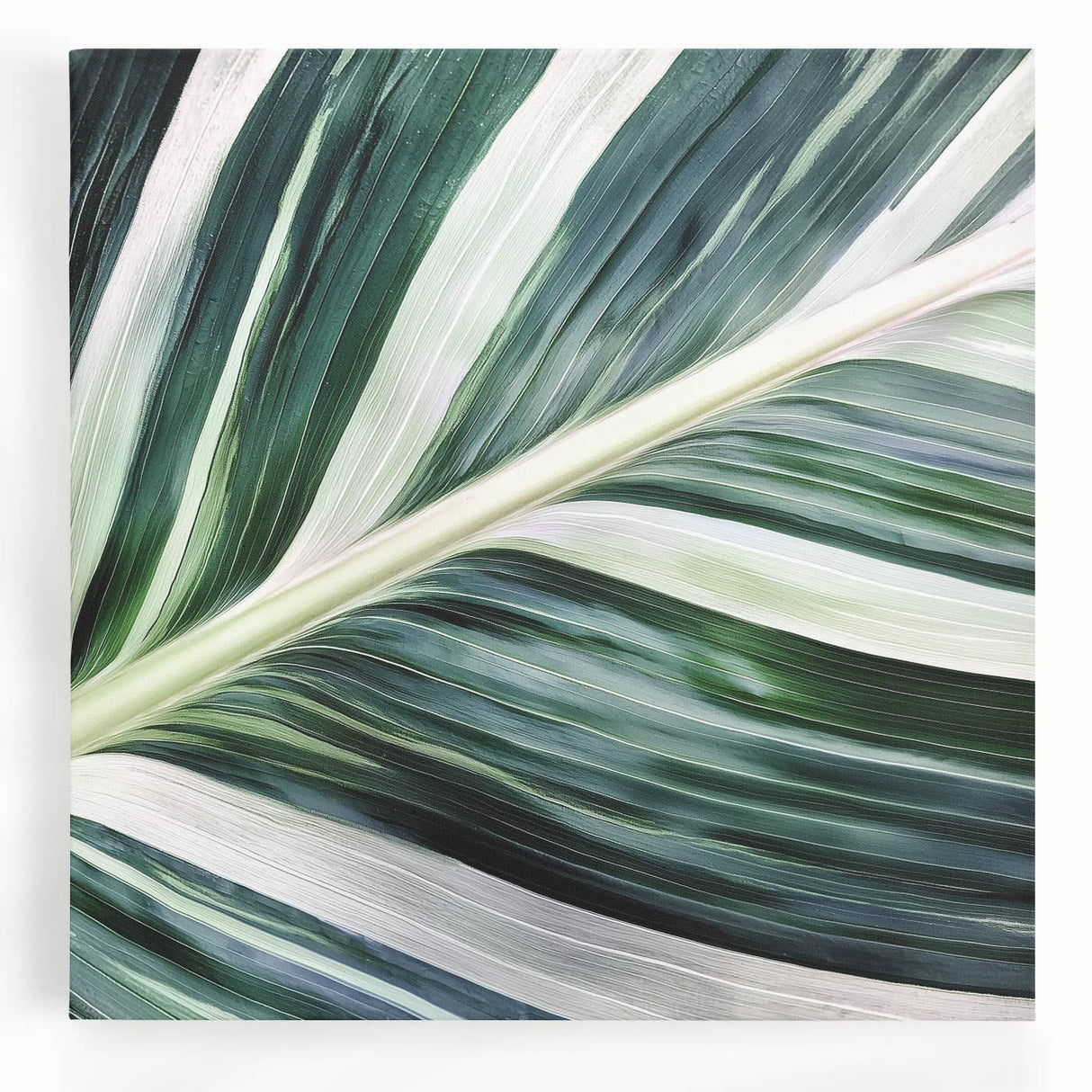 Close-up of leaves in black and white on a large stretched canvas, ideal for kitchen wall art.