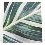 Close-up of leaves in black and white on a large stretched canvas, ideal for kitchen wall art.