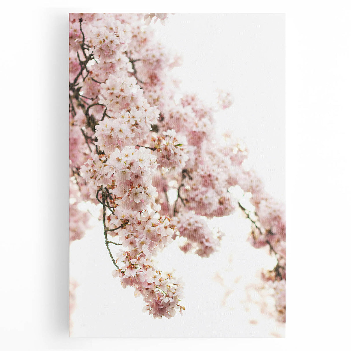 Large black and white abstract print of spring trees on stretched canvas, ideal for kitchen art.