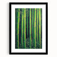 Framed Art for Living Room - Bamboo Forest Canvas Wall Art