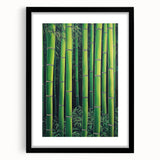 Framed Art for Living Room - Bamboo Forest Canvas Wall Art