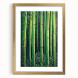 Framed Art for Living Room - Bamboo Forest Canvas Wall Art