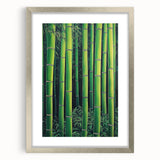 Framed Art for Living Room - Bamboo Forest Canvas Wall Art