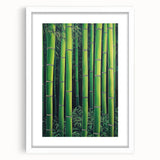 Framed Art for Living Room - Bamboo Forest Canvas Wall Art