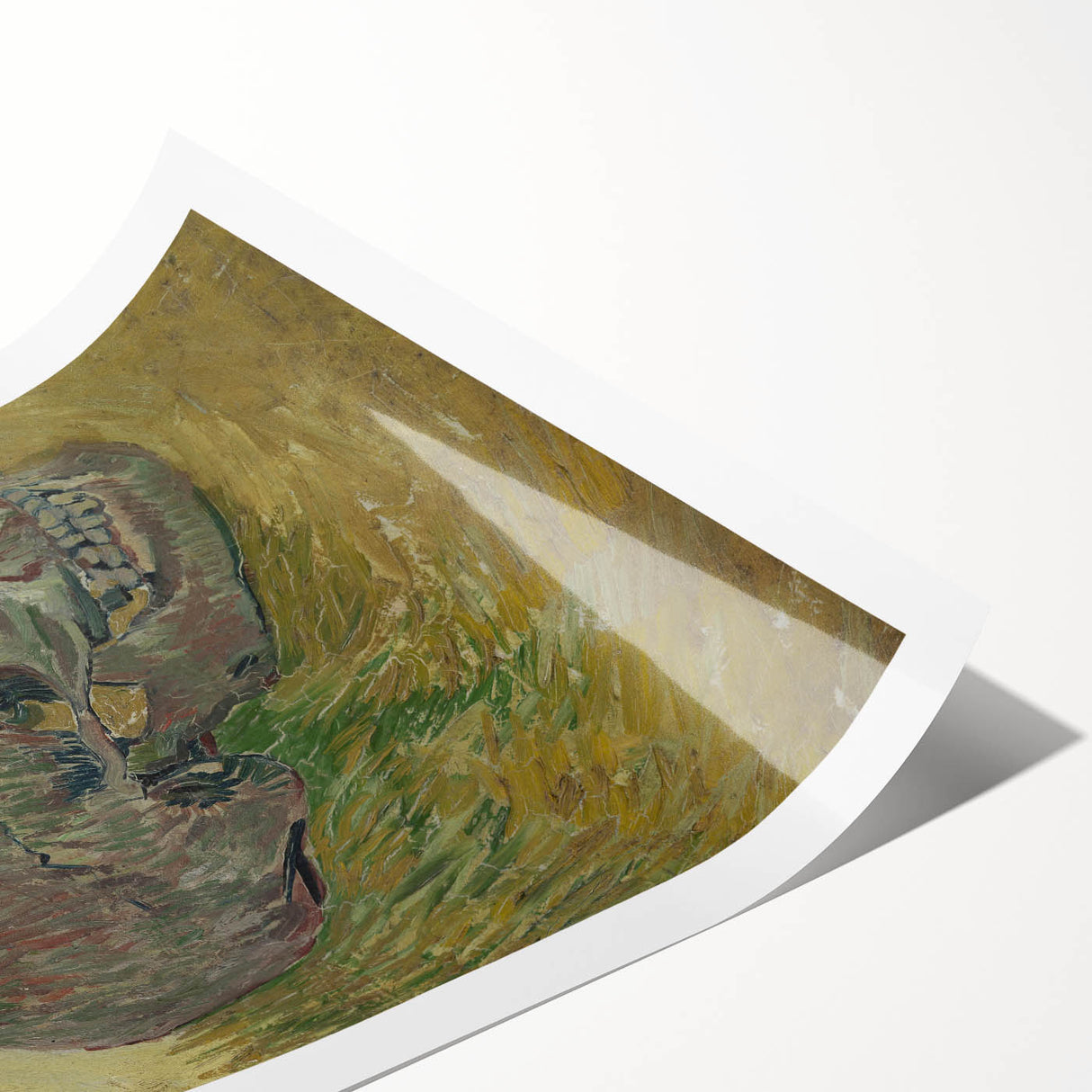 Expressionist Wall Art - Skull by Vincent Van Gogh - Bold Impressionism