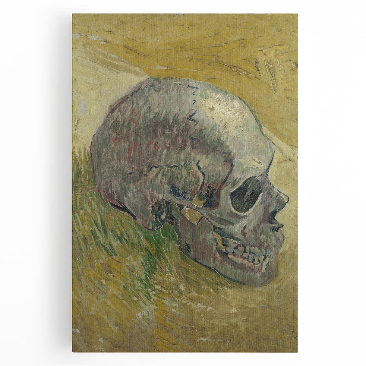 Expressionist Wall Art - Skull by Vincent Van Gogh - Bold Impressionism