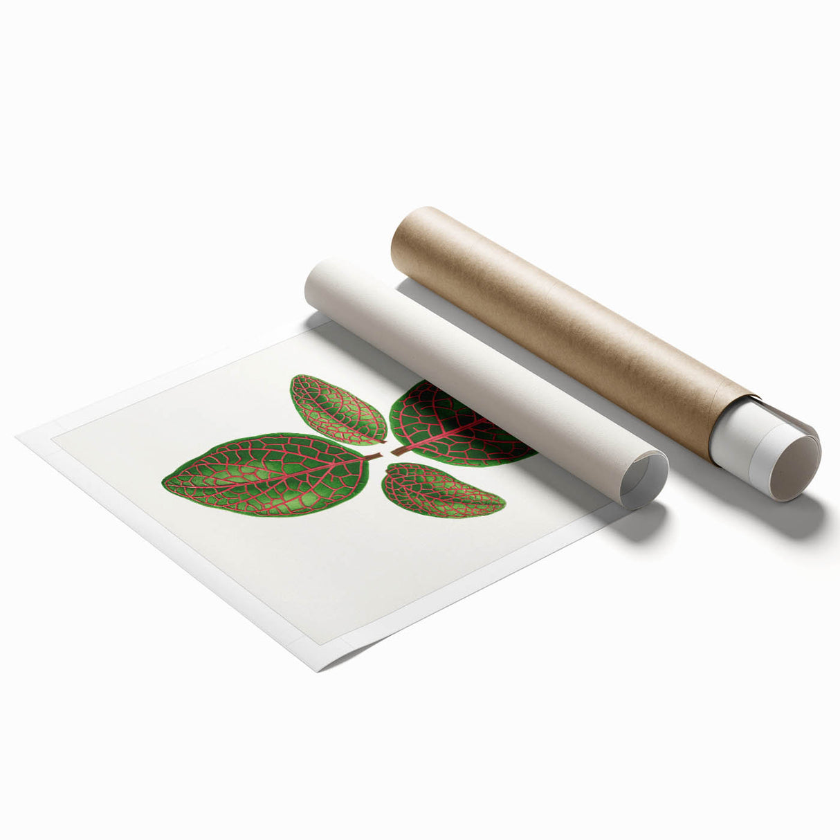 Romantic Art Print: Green Nerve Plant Leaf - Botanical Masterpiece