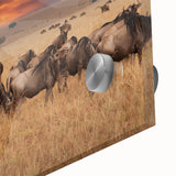 Close-up of a vibrant acrylic glass artwork showcasing a detailed design of various colorful animals, perfect for modern home decor or art collectors.