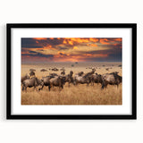 Black-framed animal-themed wall art print with a white mat, showcasing a vibrant design of various wildlife, ideal for home decor and nature lovers.