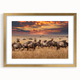 Elegant gold-framed artwork of various animals, showcasing a colorful and intricate design with a matting that enhances its appeal. Perfect for animal lovers and home decor enthusiasts.