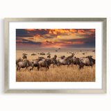 Silver-framed animal-themed artwork with a mat, showcasing vibrant colors and intricate details, ideal for home decor and art enthusiasts.