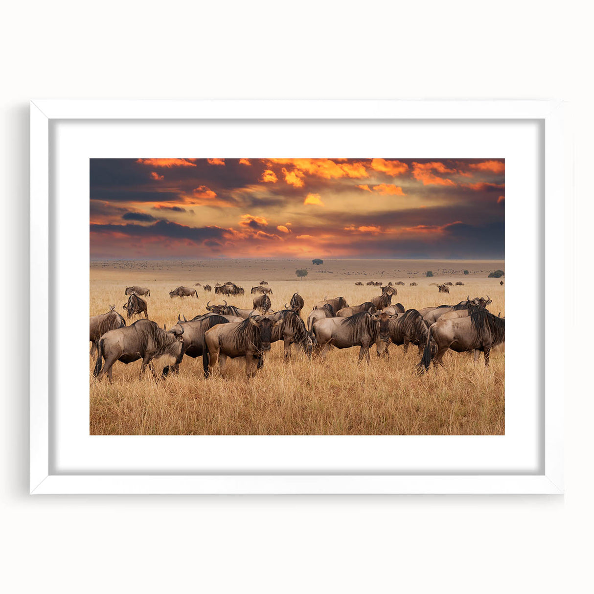 Framed animal art print featuring a white mat and sleek black frame, showcasing a vibrant illustration of various wildlife in a modern design, perfect for home decor.