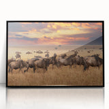 Framed acrylic artwork showcasing a vibrant animal design with a sleek black border, perfect for modern decor. Ideal for animal lovers seeking stylish wall art.