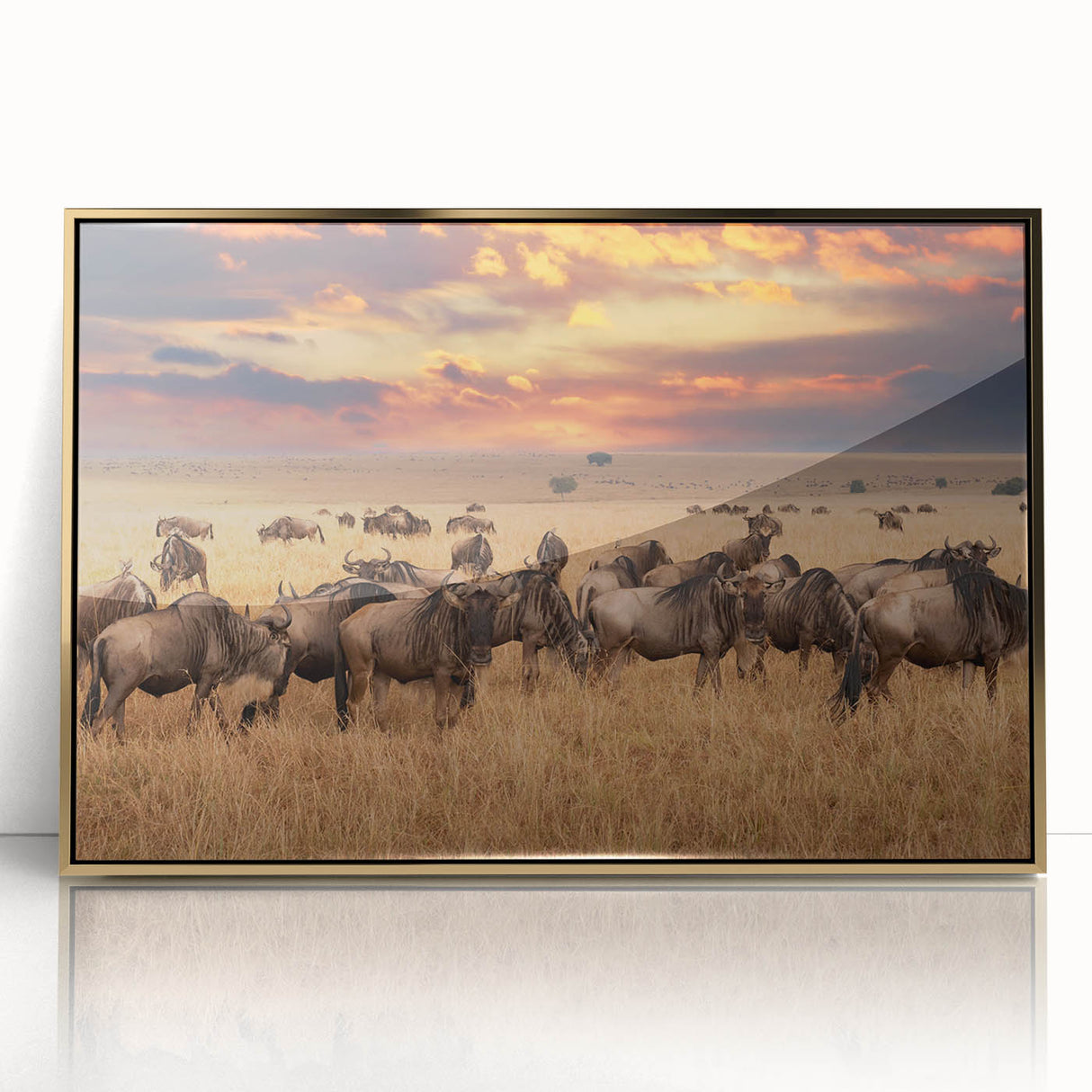Framed acrylic artwork featuring a vibrant animal design with gold accents, set against a sleek white background, perfect for modern home decor.