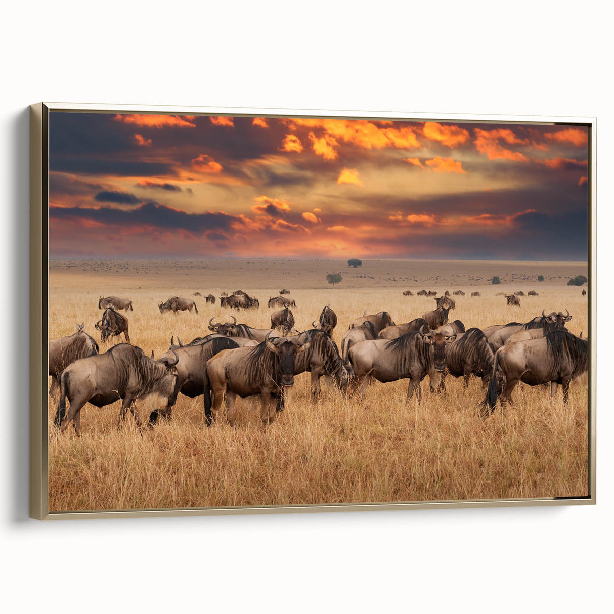 Framed canvas artwork showcasing a vibrant animal design with gold accents, displayed in a modern setting, perfect for enhancing home decor.